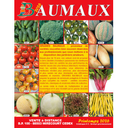 Baumaux